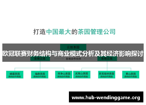 欧冠联赛财务结构与商业模式分析及其经济影响探讨 欧冠联赛财务结构与商业模式分析及其经济影响探讨
