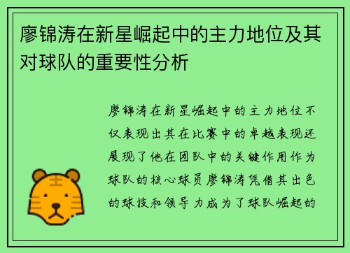 廖锦涛在新星崛起中的主力地位及其对球队的重要性分析 廖锦涛在新星崛起中的主力地位及其对球队的重要性分析