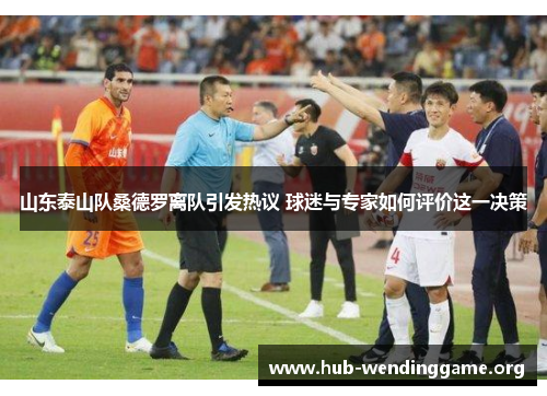 山东泰山队桑德罗离队引发热议 球迷与专家如何评价这一决策 山东泰山队桑德罗离队引发热议 球迷与专家如何评价这一决策