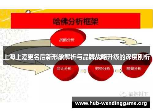 上海上港更名后新形象解析与品牌战略升级的深度剖析 上海上港更名后新形象解析与品牌战略升级的深度剖析