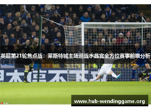英超第21轮焦点战:莱斯特城主场迎战水晶宫全方位赛事前瞻分析 英超第21轮焦点战:莱斯特城主场迎战水晶宫全方位赛事前瞻分析